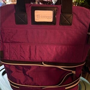 Biaggi Purple Carry On